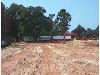 t0100195.jpg (2940 bytes)